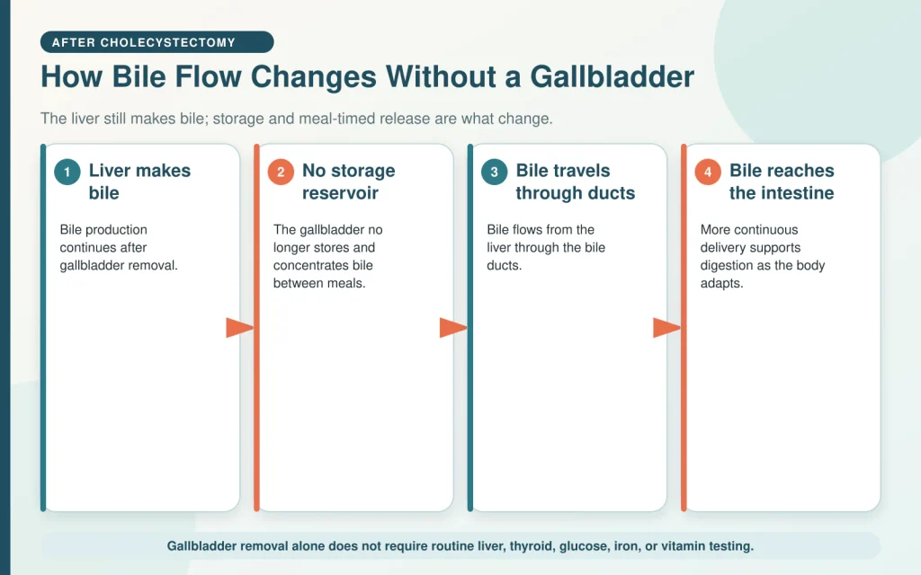 glutathione after gallbladder removal Thriving Without a Gallbladder: A Comprehensive Guide Dark Spot Remover