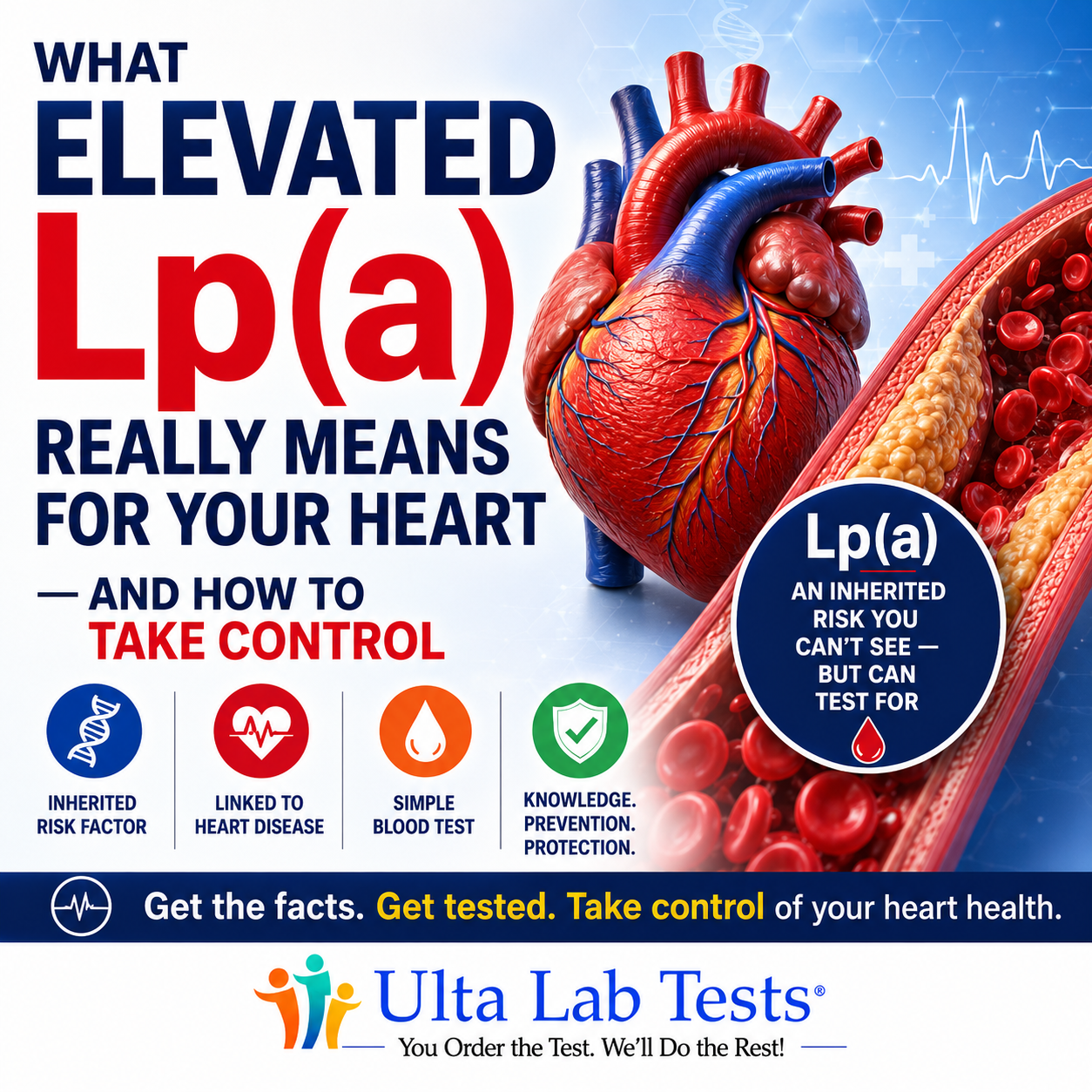 Elevated Lp(a): What It Means for Your Heart and How to Take Control ...